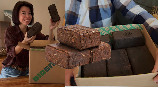 Una composizione di immagini che mostra l'influencer Sophie Breton sorridente mentre regge delle bricchette di legno, insieme a primi piani di scatole BIOENEX aperte contenenti vari tipi di bricchette per stufe e camini.